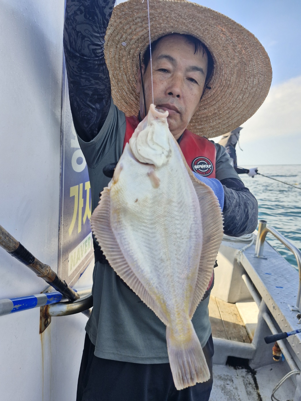 8월 15일 조황정보입니다(3)